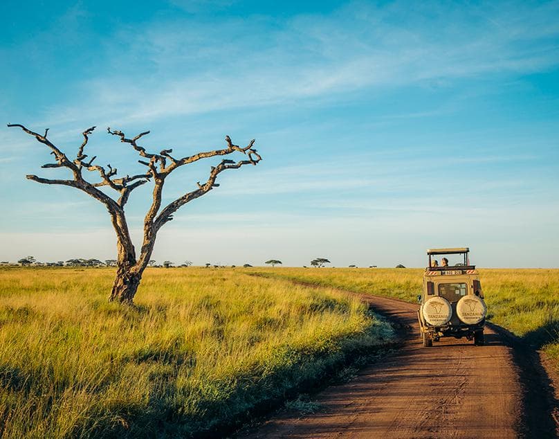 A safari vehicle on a dirt road in the Tanzanian savanna at golden hour